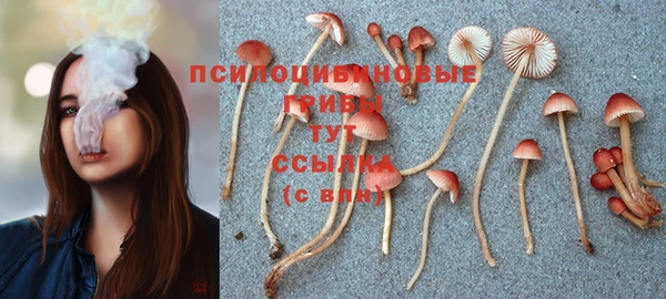 2c-b Баксан