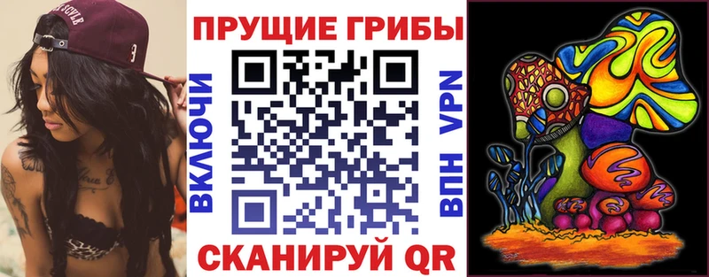 Псилоцибиновые грибы Psilocybine cubensis  Сосногорск 